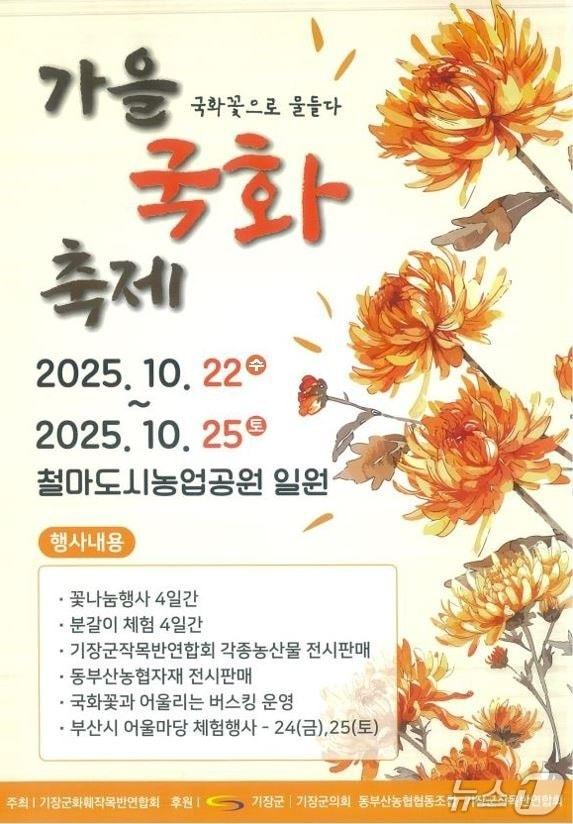 본문 이미지 - '가을 국화 축제' 포스터.(기장군 제공. 재판매 및 DB금지)