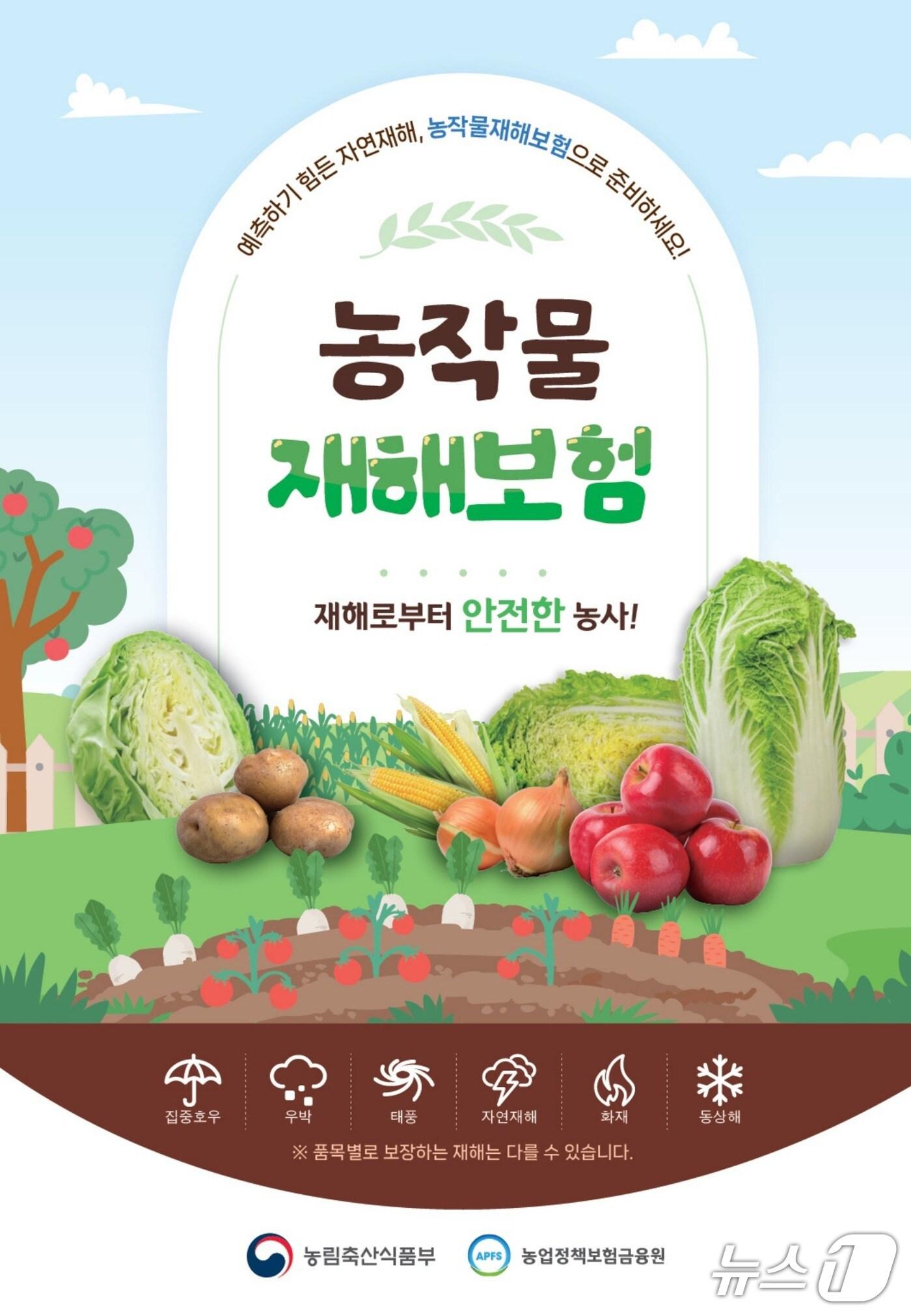 본문 이미지 -  제천시, 양파·밀·보리 농작물 재해보험 가입 신청 접수.(제천시 제공. 재판매 및 DB금지)/뉴스1  