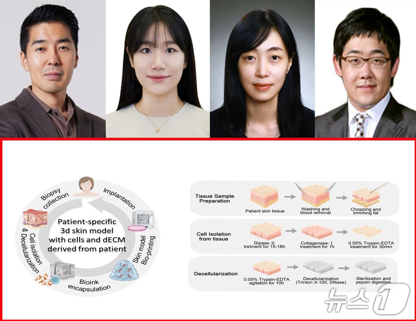 본문 이미지 - 포스텍 신소재공학과 융합대학원 이준민 교수와 이화여대 박보영·고려대 김한준 교수 공동연구팀이 화상이나 만성 상처 환자를 위한 맞춤형 재생 치료 기술을 개발했다. 왼쪽부터 이준민 교수, 시스템 공학부 통합과정 강래희 씨, 박보영 교수, 김한준 교수.(포스텍 제공, 재판매 및 DB금지) 2025.10.22/뉴스1 
