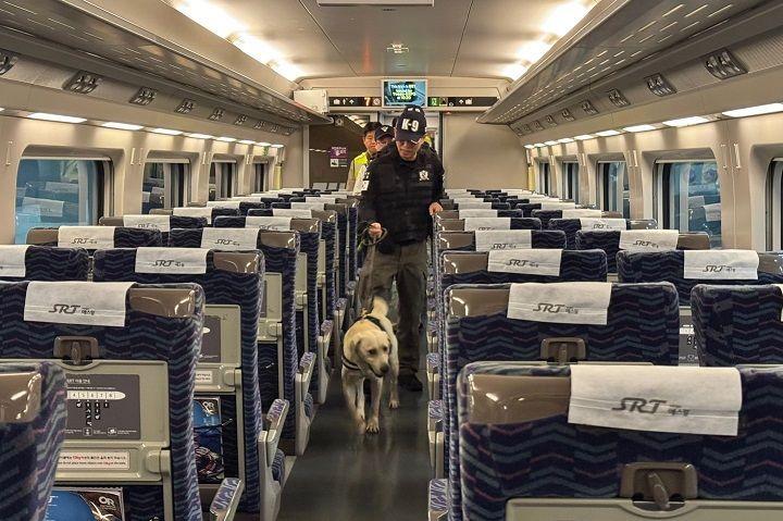 본문 이미지 - SR 철도 특별점검 모습.&#40;SR제공&#41;뉴스1ⓒ news1