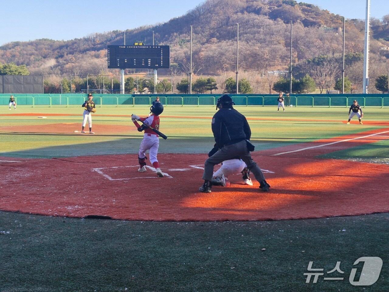 본문 이미지 - 지난해 전국 추계 초등야구대회 경기 장면(보은군 제공. 재판매 및 DB금지) /뉴스1