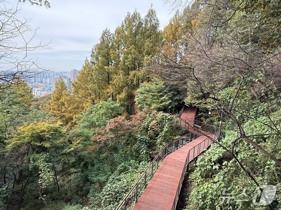 본문 이미지 - 남산 무장애길.(서울시 제공)