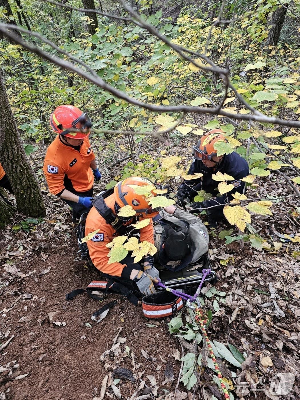 본문 이미지 - 지난 22일 단양 패러글라이딩 야산 추락 현장 (단양소방서 제공. 재판매 및 DB금지)/뉴스1
