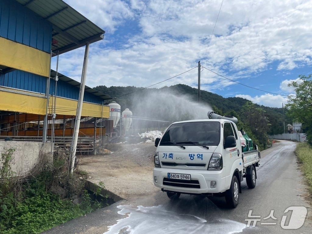 본문 이미지 - 악성 가축전염병 방역 장면&#40;보은군 제공. 재판매 및 DB금지&#41; /뉴스1 