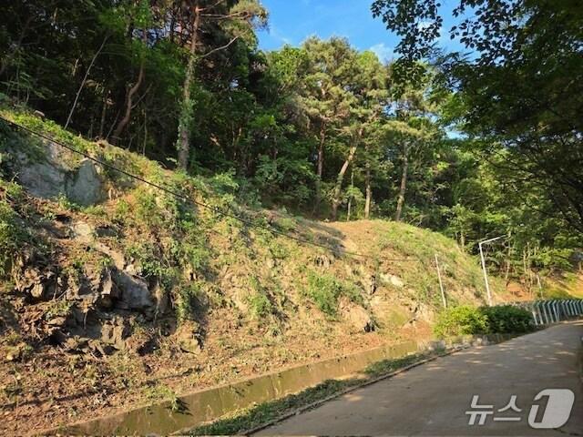 본문 이미지 - 청주상당산성 옛길 급경사지.(청주시 제공. 재판매 및 DB금지)/뉴스1