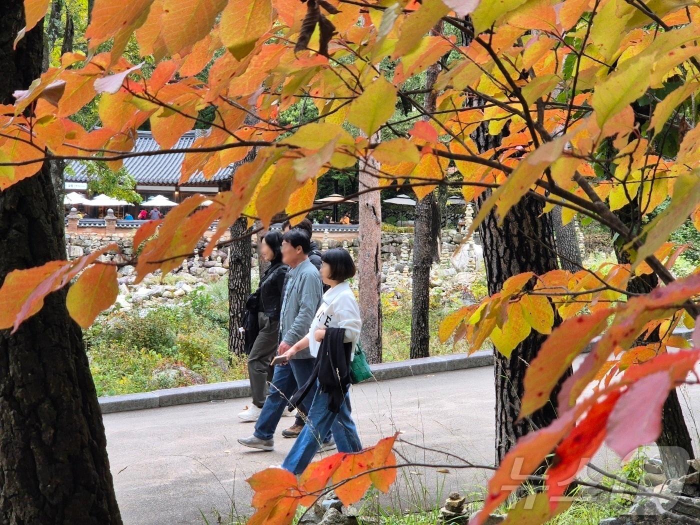 본문 이미지 -  <자료사진> (사진은 기사 내용과 무관함) 2025.10.23/뉴스1 ⓒ News1 자료 사진