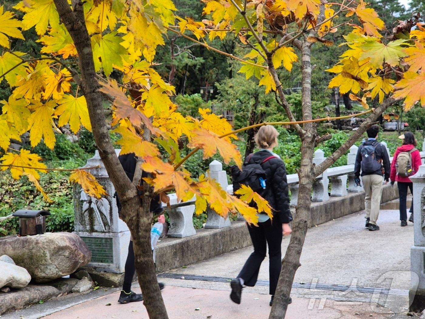 본문 이미지 - 지난 23일 설악산 탐방객들&#40;뉴스1 DB&#41; ⓒ News1 윤왕근 기자