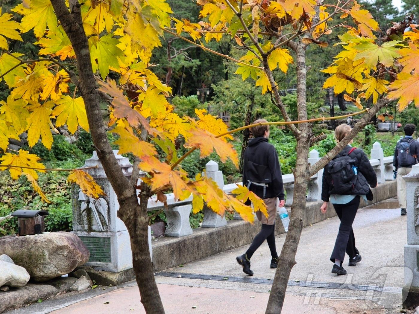 본문 이미지 - 23일 강원 속초시 설악산국립공원 일대에서 절정을 맞은 설악산 단풍을 즐기기 위해 탐방객들이 형형색색 가을빛으로 물든 산자락을 배경으로 산행을 즐기고 있다. 2025.10.23/뉴스1 ⓒ News1 윤왕근 기자