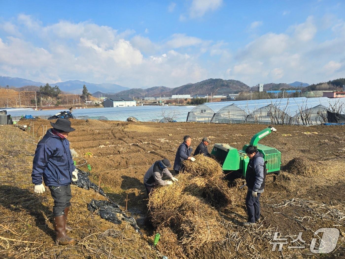 본문 이미지 - 전북 진안군이 영농부산물을 처리하기 위해 &#39;찾아가는 파쇄지원 사업&#39;을 실시한다.&#40;진안군제공. 재판매 및 DB금지&#41;2025.10.23/뉴스1