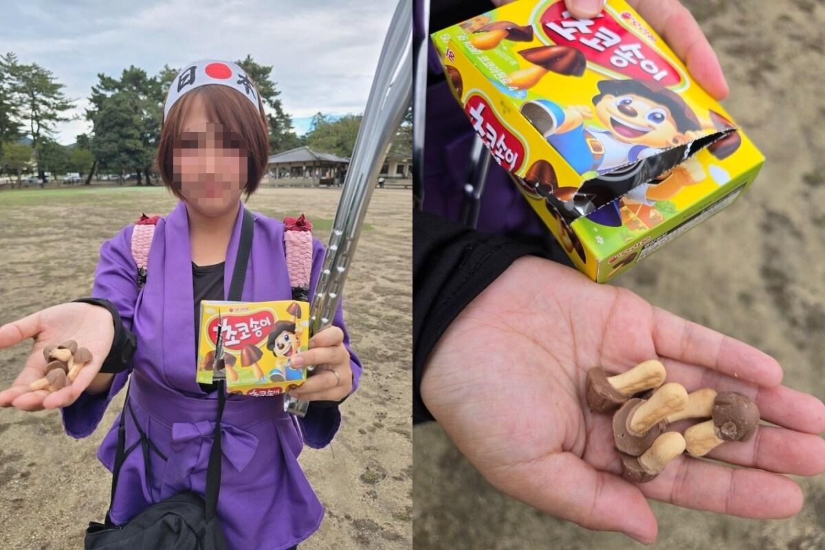 본문 이미지 - (엑스 갈무리)