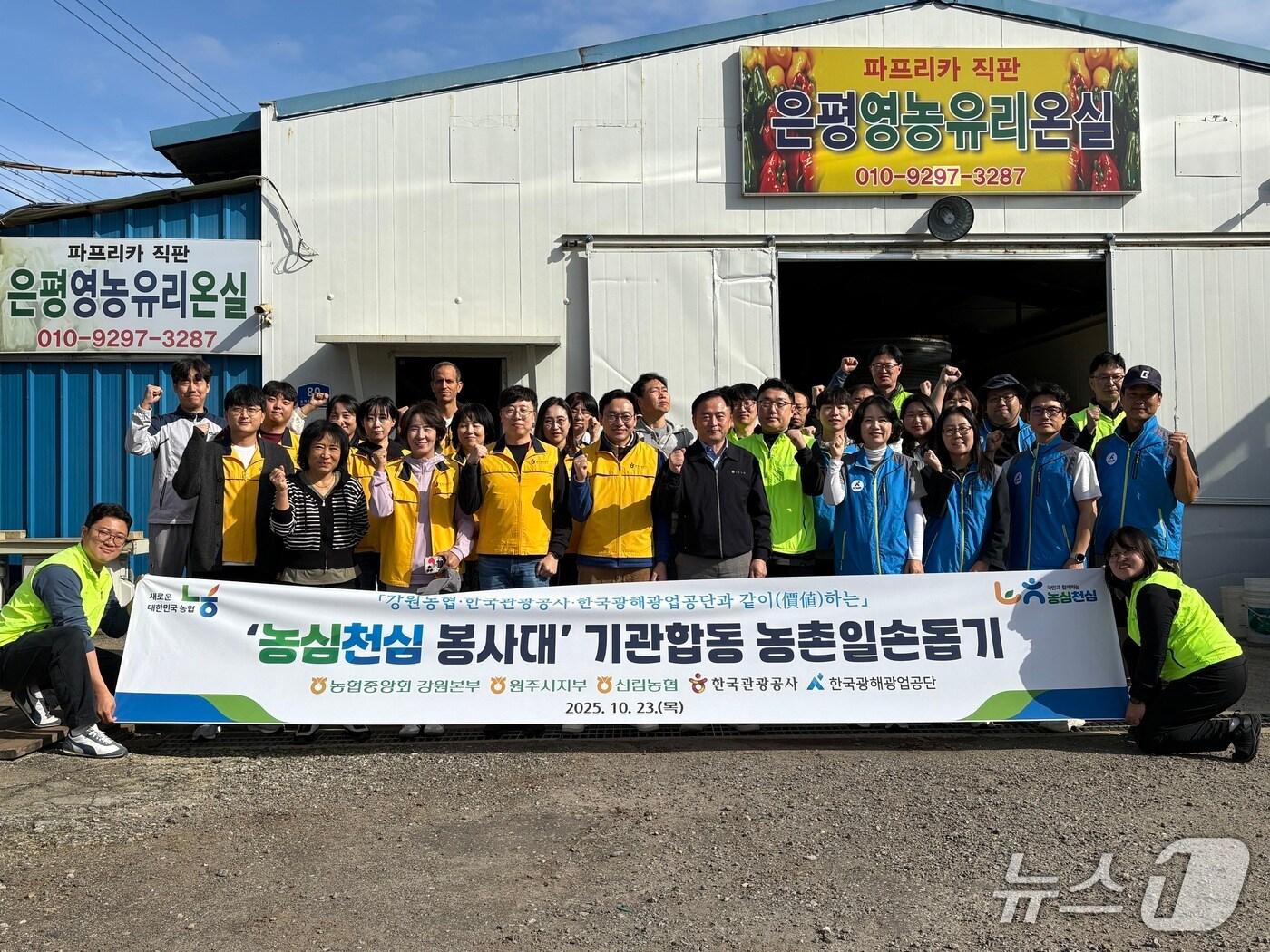 본문 이미지 - 원주 파프리카 농가 기관 합동 농촌 일손 돕기.&#40;농협 강원본부 제공. 재판매 및 DB금지&#41;/뉴스1