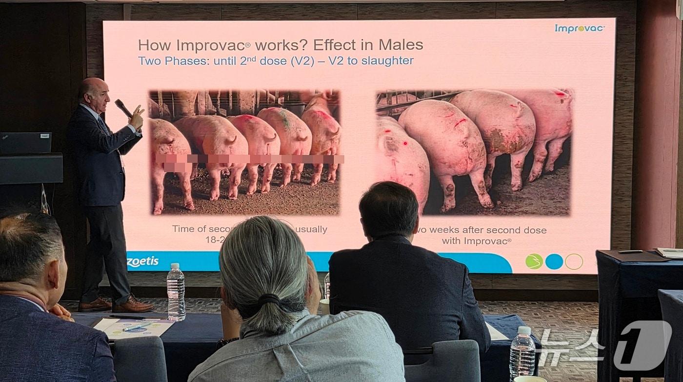 알바로 박사가 2025 조에티스 임프로박 심포지엄에서 임프로박 백신 접종 후 효과에 대해 설명하고 있다. ⓒ 뉴스1 한송아 기자