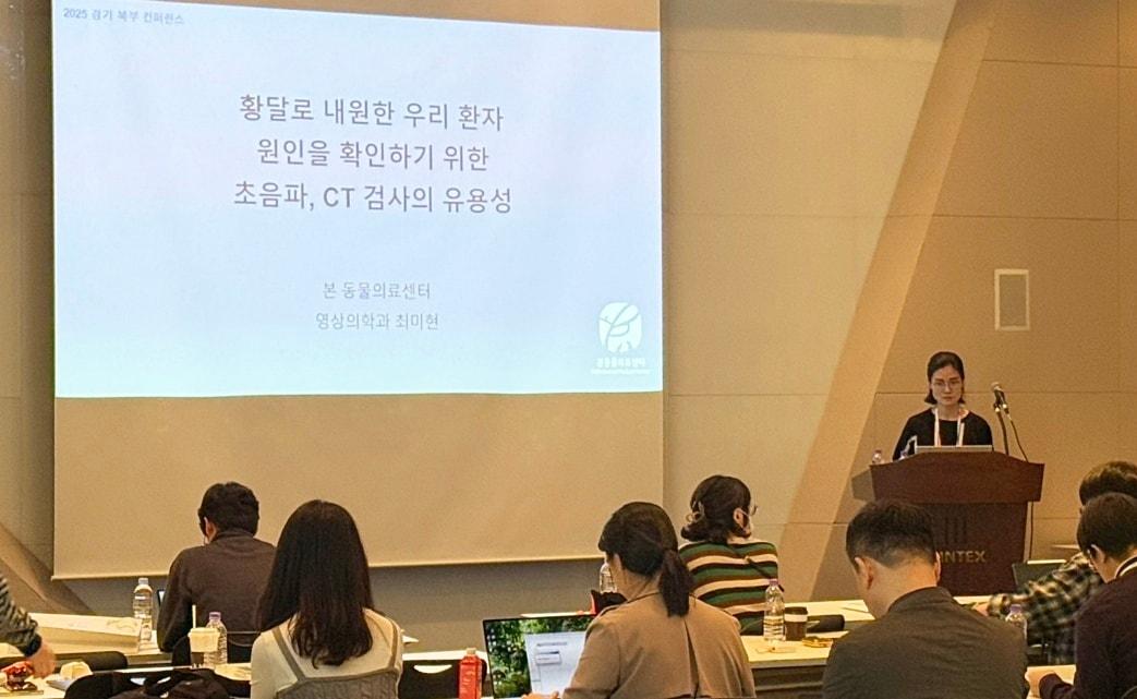 본문 이미지 - 본동물의료센터 최미현 영상의학과 원장이 '2025 경기북부수의컨퍼런스(경기북부수의콘퍼런스)'에서 전문 지견을 공유했다(병원 제공). ⓒ 뉴스1