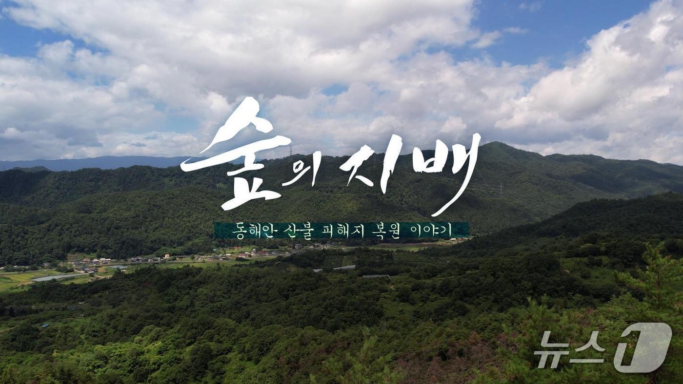 MBC강원영동 산불 피해지 복원 이야기 특집 다큐 &#39;숲의 지배&#39; &#40;MBC강원영동 제공, 재판매 및 DB 금지&#41; 2025.10.23/뉴스1
