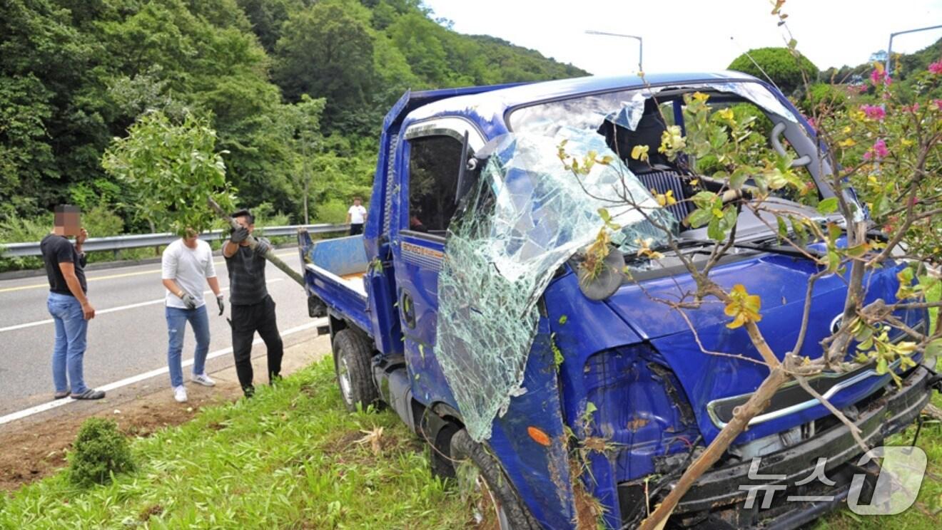 본문 이미지 - 사진은 기사 내용과 관련 없음./뉴스1