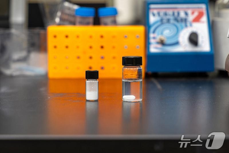 본문 이미지 - 연구팀이 만든 다공성 나노입자&#40;화학연 제공&#41; /뉴스1