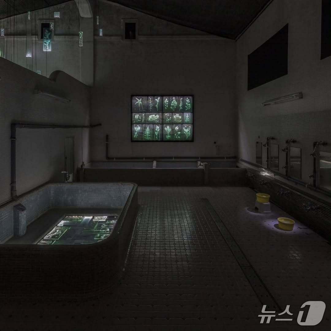 본문 이미지 - 일본 &#39;아이치 트리엔날레&#39;에 전시된 유리작가 사사키 루이의 설치작품 &#39;잊히지 않는 존재&#39; ⓒ 뉴스1