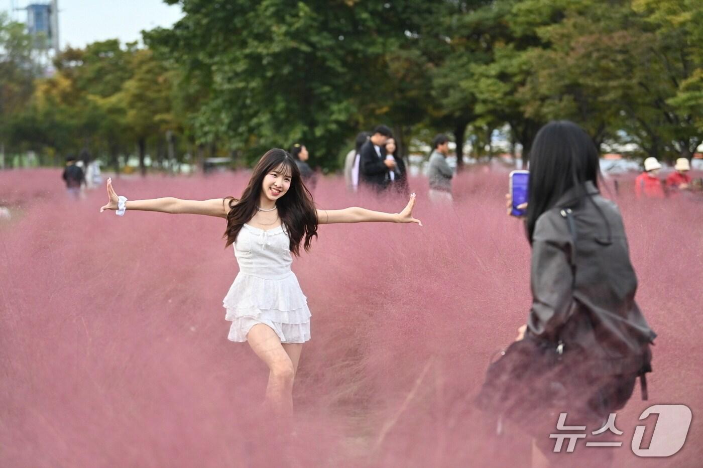  '2025 글로벌 K-POP 댄스챌린지 In Hanam' 기간 중 인플루언서가 핑크뮬리가 가득한 미사경정공원에서 춤을 추고 있다.(하남시 제공. 재판매 및 DB 금지)