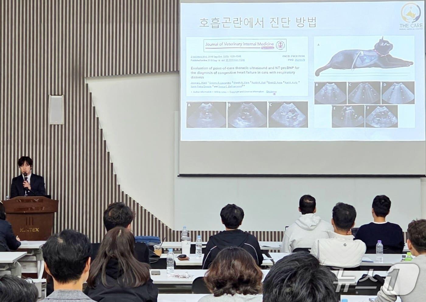 김예원 더케어동물의료센터 원장이 19일 반려동물 심장 치료 사례를 소개하고 있다. ⓒ 뉴스1