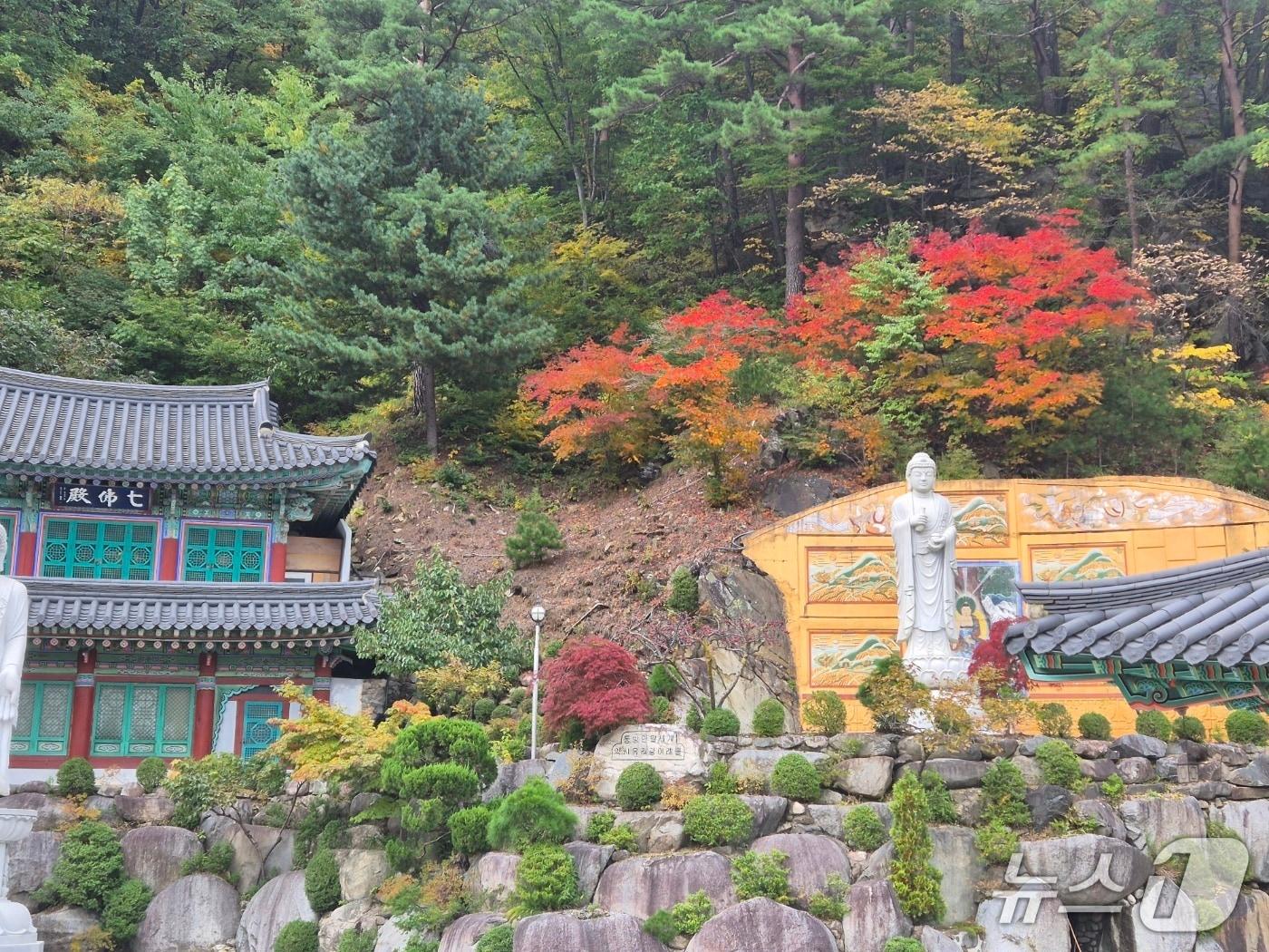 본문 이미지 - 26일 강원 강릉시 칠성산 자락에 위치한 법왕사 경내에 단풍이 물들어 있다. 2025.10.26/뉴스1 윤왕근 기자