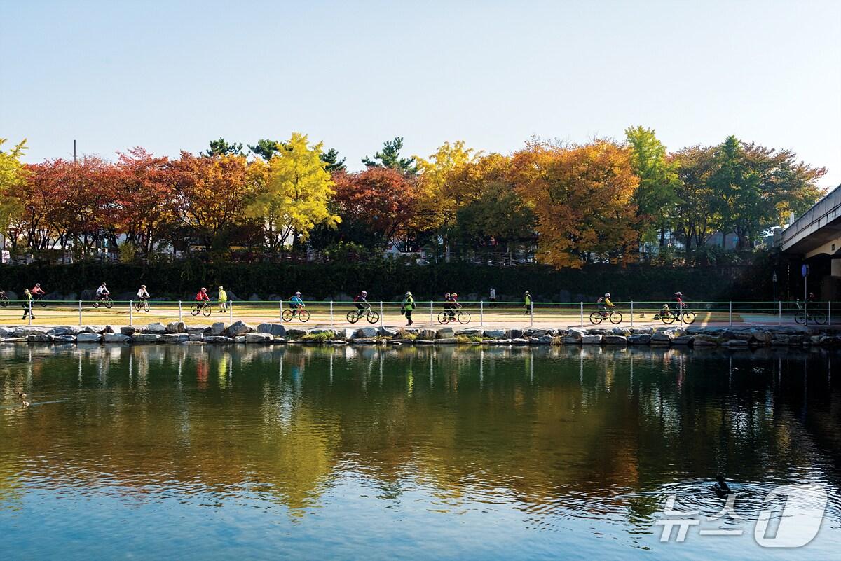 본문 이미지 - 대구시는 26일 자전거타기 운동연합 본부와 함께 가을철 정취를 느낄 수 있는 '자전거 타기 좋은 코스' 7선을 선정했다고 밝혔다. (대구시 제공. 재판매 및 DB 금지)/뉴스1