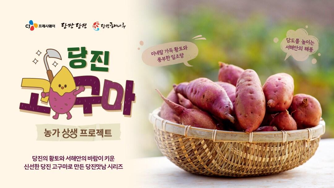 본문 이미지 - &#40;CJ프레시웨이 제공&#41;