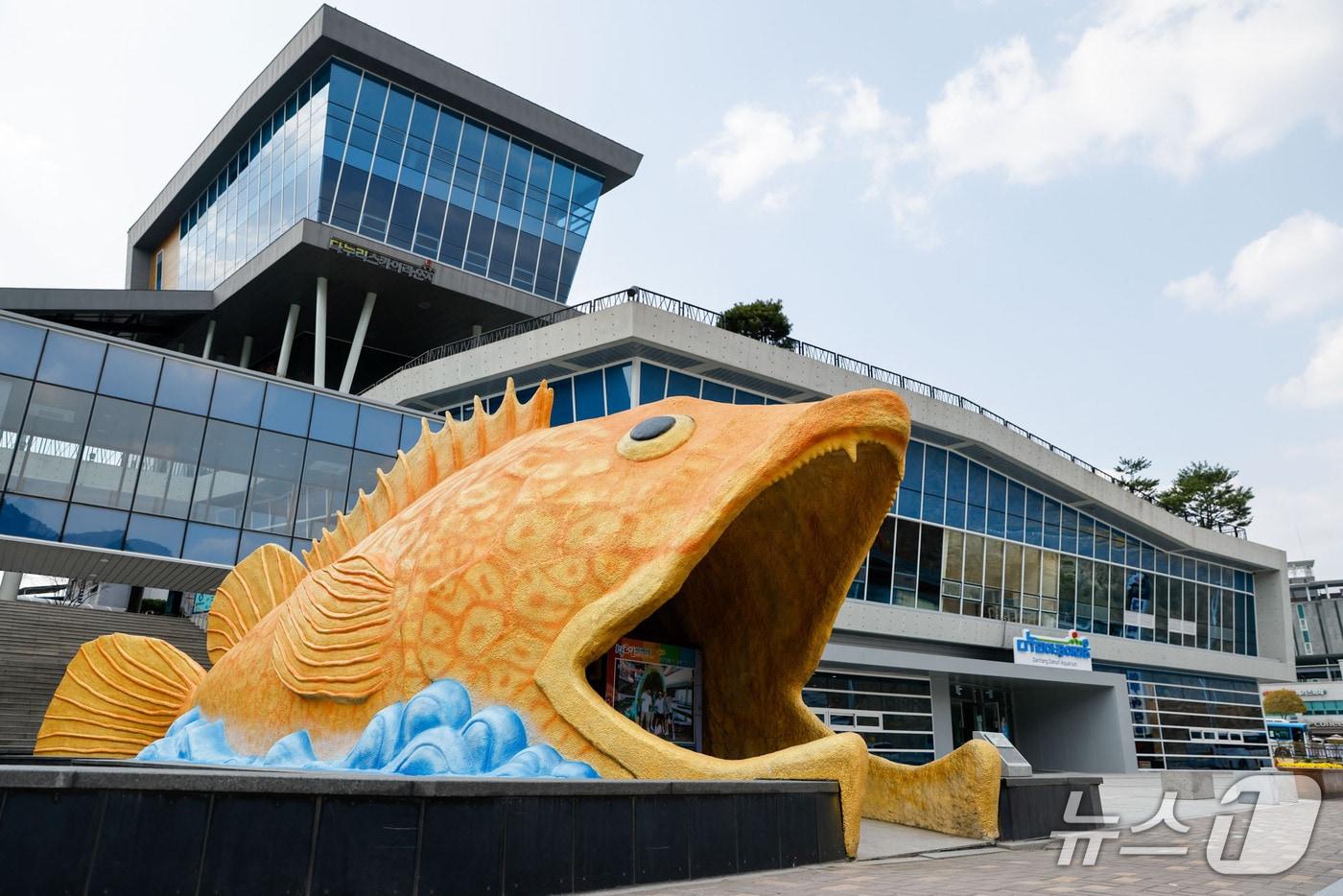 단양 다누리아쿠아리움.(단양군 제공. 재판매 및 DB금지)/뉴스1 