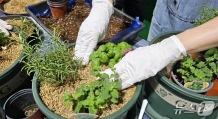 본문 이미지 - (사진은 기사 내용과 무관함) / 뉴스1