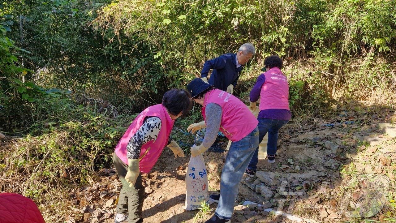 본문 이미지 -  ⓒ News1 DB 이동원 기자