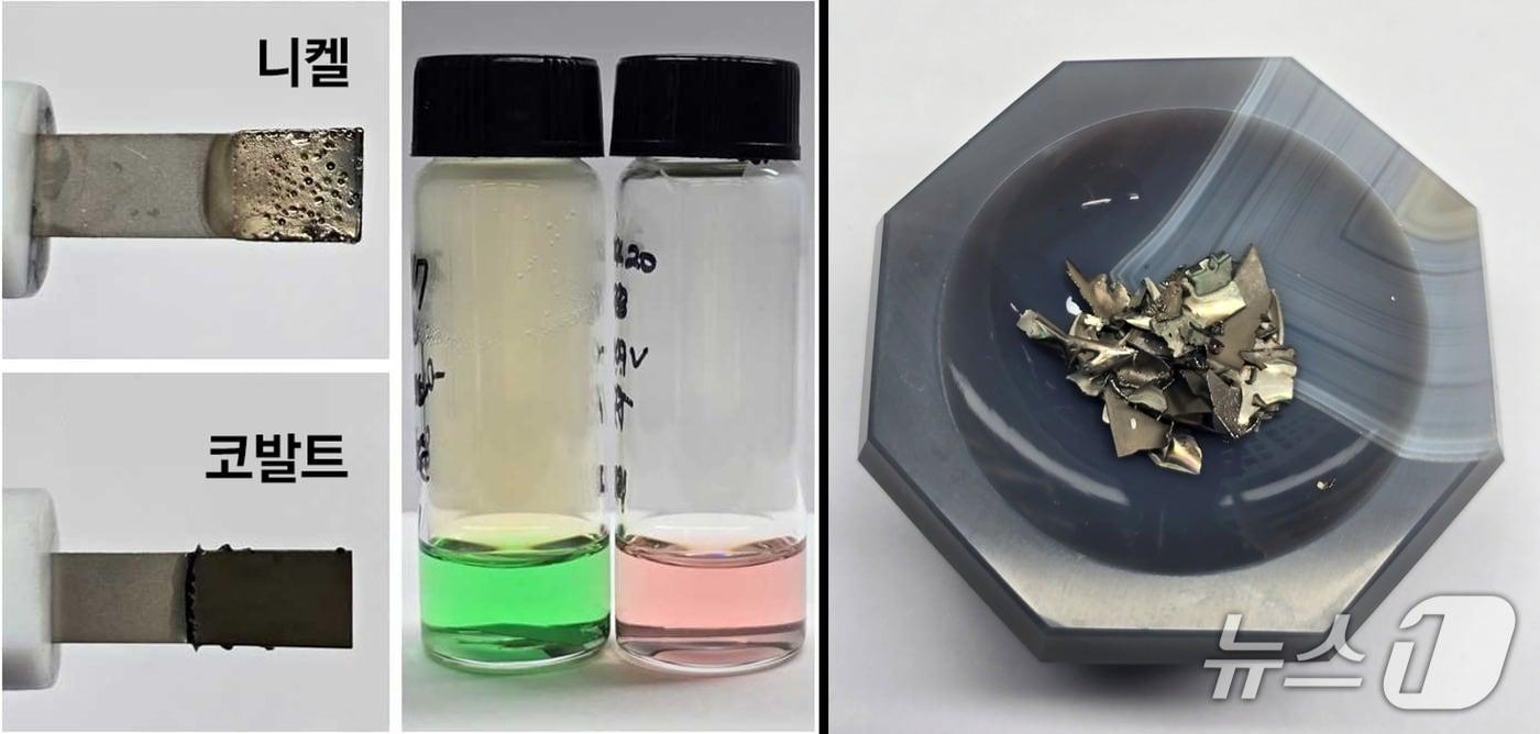 본문 이미지 - 개발된 공정을 통해 추출된 니켈과 코발트(UNIST 제공. 재판매 및 DB금지)/뉴스1