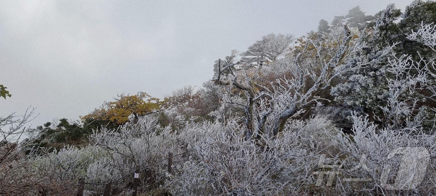 28일  덕유산 향적봉&#40;1614m&#41;, 대피소 등 주능선에 상고대가 생성됐다.&#40;덕유산사무소 제공. 재판매 및 DB금지&#41;2025.10.28/뉴스1 
