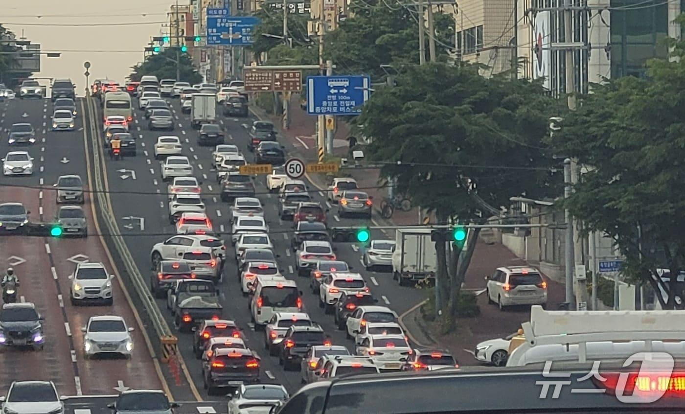 제주 도로(자료사진)/뉴스1