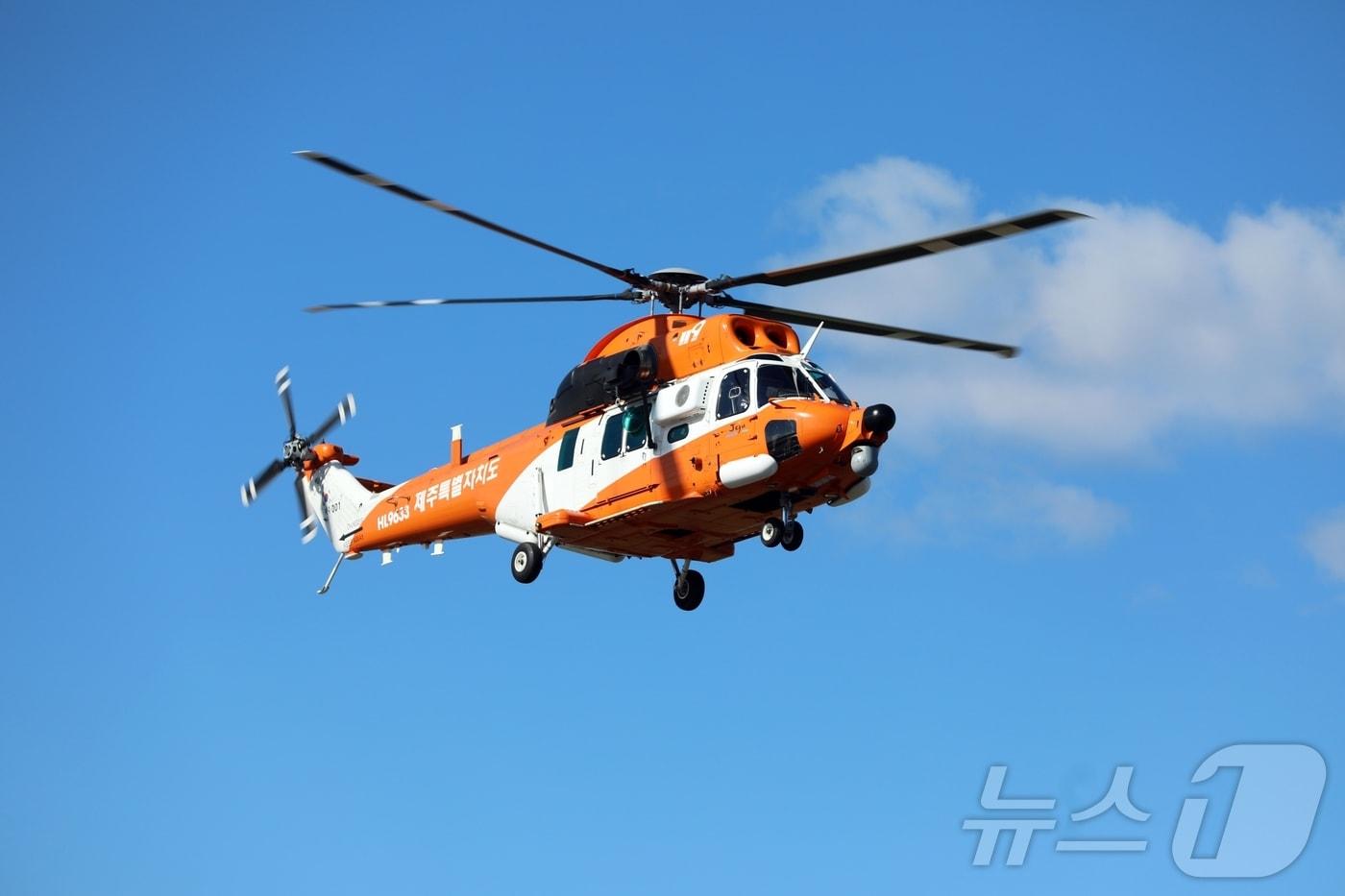 본문 이미지 - 한라마(자료사진)/뉴스1