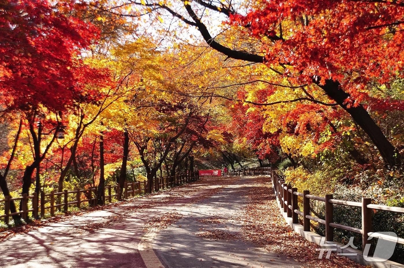 본문 이미지 - 남산 북측순환로.(서울시 제공)