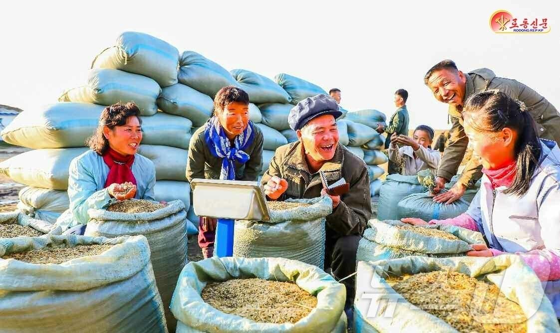 본문 이미지 - &#40;평양 노동신문=뉴스1&#41; = 북한 노동당 기관지 노동신문은 29일 신천군 장재농장에서 수확의 기쁨이 넘친다고 선전했다. [국내에서만 사용가능. 재배포 금지. DB 금지. For Use Only in the Republic of Korea. Redistribution Prohibited] rodongphoto@news1.kr