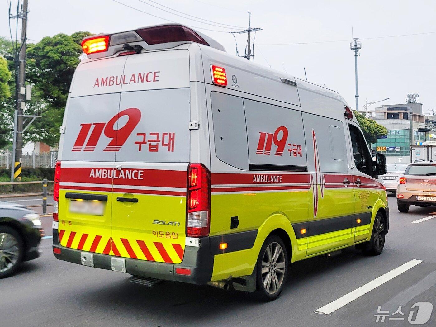 본문 이미지 - 소방안전본부 119구급차량. 2024.5.2/뉴스1