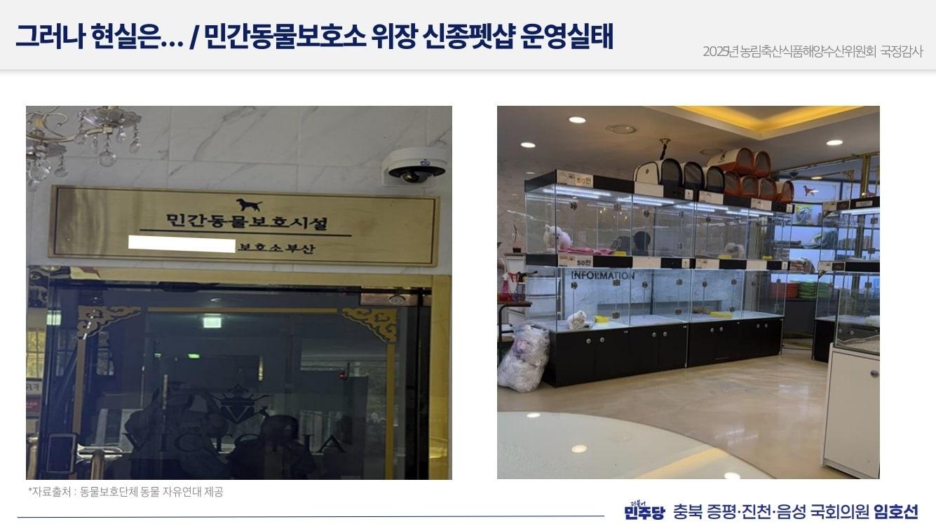 본문 이미지 - 국가동물보호정보시스템에 공식 보호소로 등재된 부산의 신종펫숍 업체(동물자유연대 제공) ⓒ 뉴스1