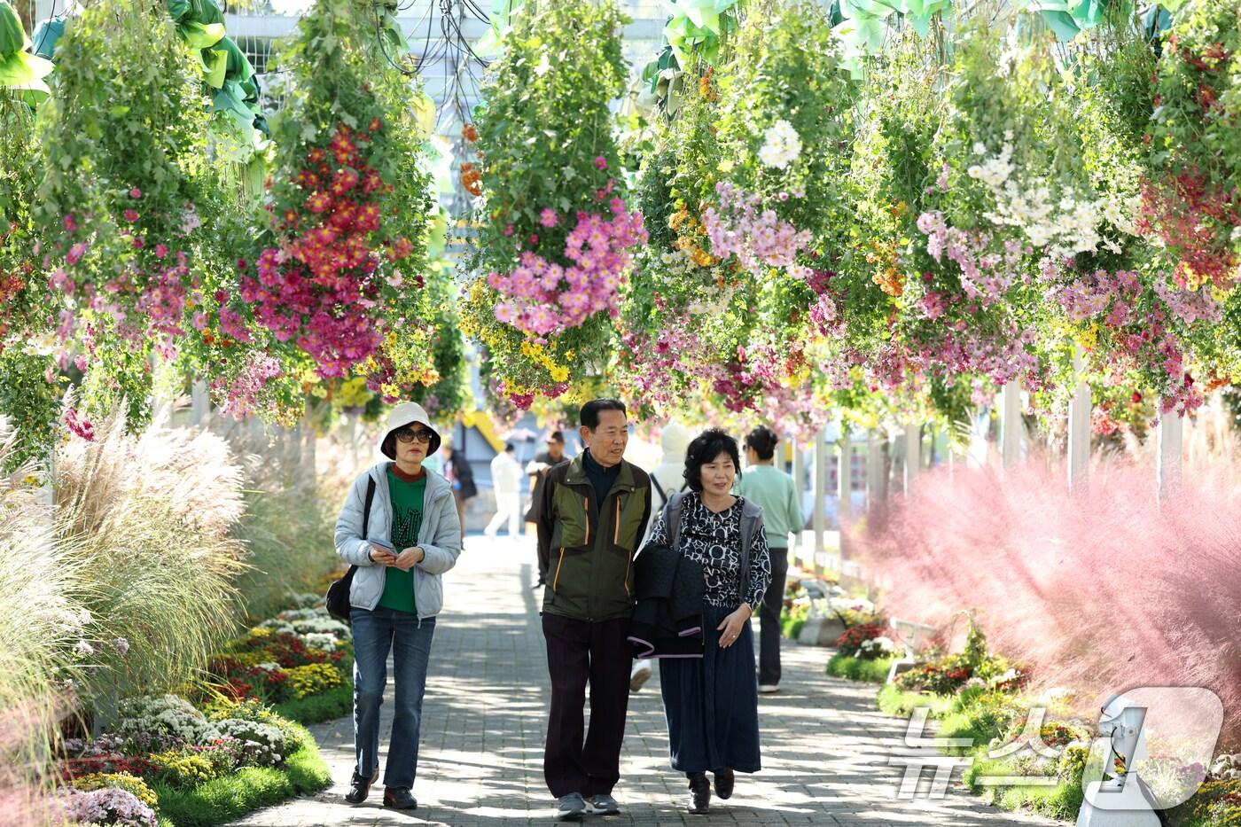 2025 대한민국 국향대전이 열린 10월 29일 전남 함평군 함평엑스포 공원의 모습. 2025.10.29/뉴스1 ⓒ News1 이승현 기자