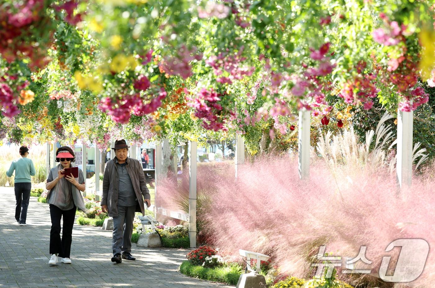 2025 대한민국 국향대전이 열리고 있는 29일 전남 함평군 함평엑스포 공원에서 시민들이 국화 정취를 즐기고 있다.  2025.10.29/뉴스1 ⓒ News1 이승현 기자