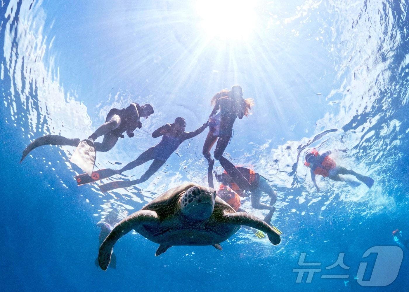본문 이미지 - 29일&#40;현지시간&#41; 인도네시아 마나도 부나켄 해양국립공원에서 이스타항공의 인천-마나도 첫 편을 통해 도착한 관광객들이 스노쿨링과 다이빙을 즐기고 있다. 마나도 부나켄 해양국립공원은 맑은 바다 속에서 1,300종 이상의 해양 생물과 370여 종의 살아있는 산호초 등을 맨 눈으로 감상할 수 있어 세계 3대 다이빙 성지로 불린다. 2025.10.29/뉴스1 ⓒ News1 안은나 기자