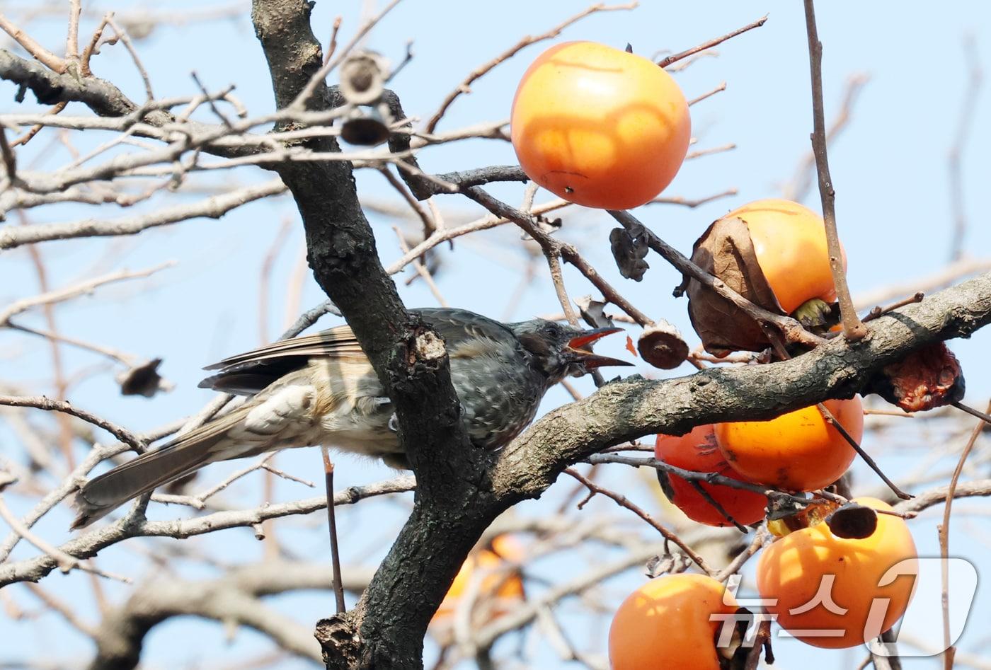 자료사진/뉴스1 ⓒ News1 