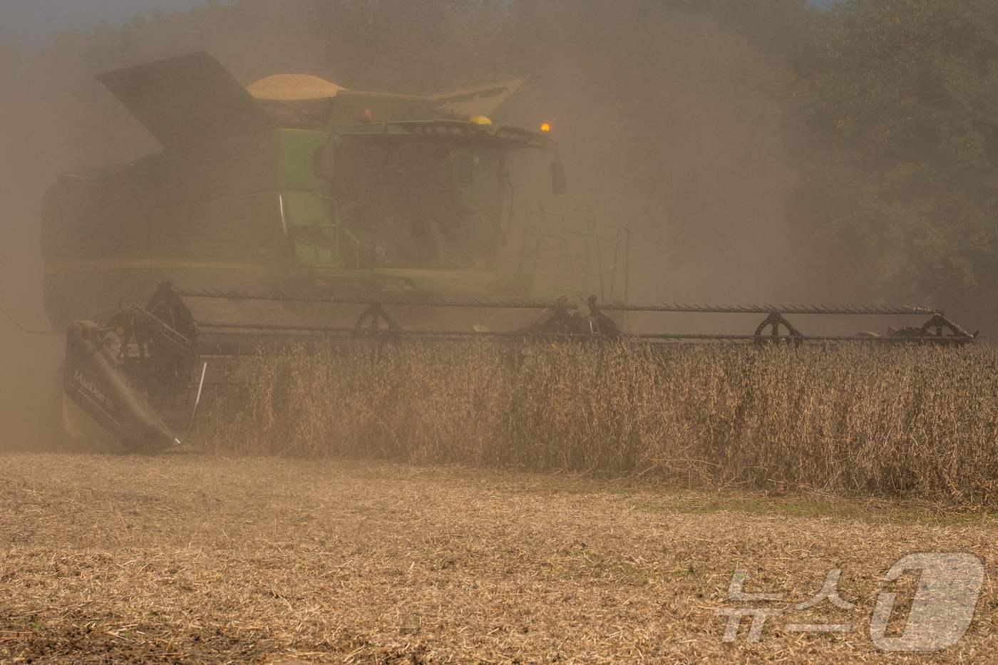 켄터키주 마리온 농가에서 콤바인으로 대두를 수확하고 있다. 2025.10.14  ⓒ AFP=뉴스1