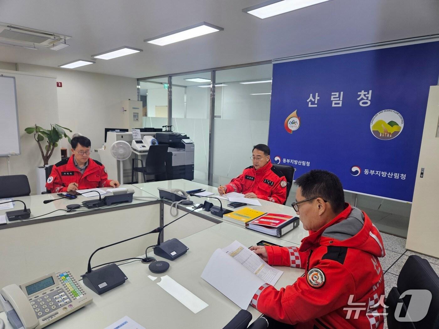 본문 이미지 - 김인호 산림청장&#40;왼쪽에서 두번째&#41;, 최수천 동부지방산림청장&#40;가장 오른쪽&#41;, 박승규 국유림경영과장&#40;가장 왼쪽&#41; &#40;산림청 제공.재판매 및 DB금지&#41;/뉴스1