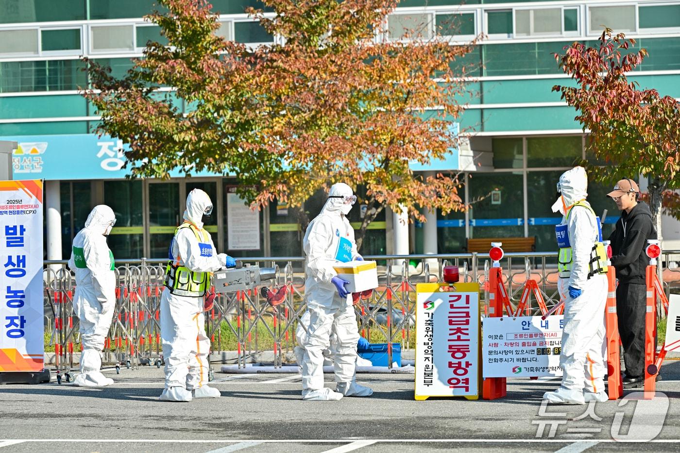 강원도와 정선군이 29일 정선읍 정선종합운동경기장 제1주차장에서 고병원성 조류인플루엔자&#40;AI&#41; 발생을 대비한 &#39;2025년 가상방역 현장훈련&#39;&#40;CPX&#41;을 했다. &#40;정선군 제공. 재판매 및 DB금지&#41; 2025.10.29/뉴스1