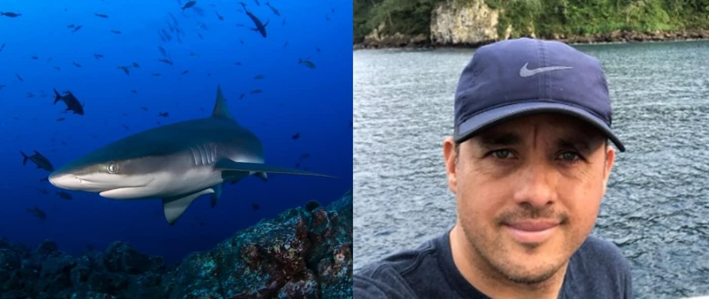 본문 이미지 - (갈라파고스 상어와 오요스 박사. 뉴욕타임스)