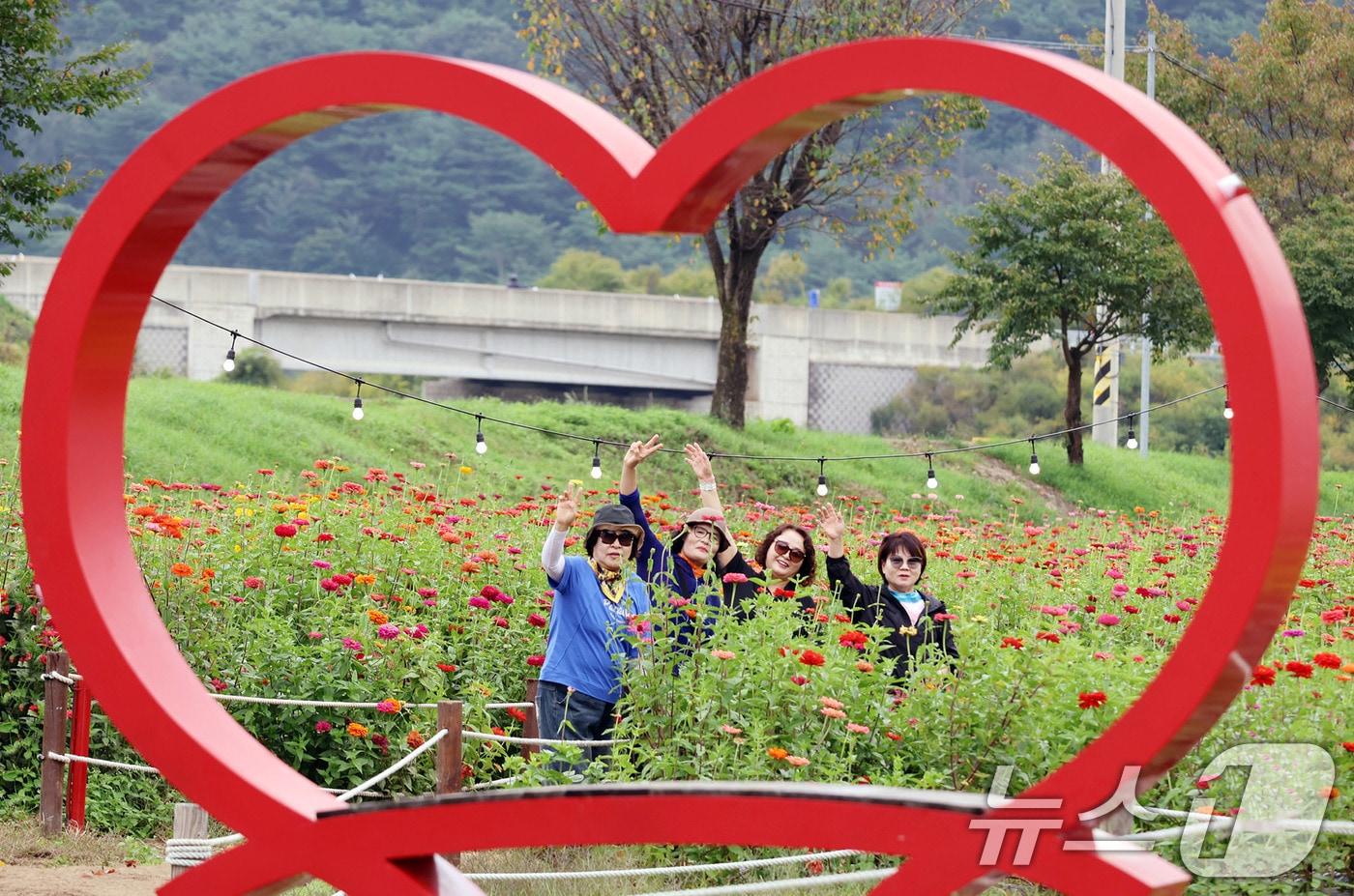 강원 평창군 평창읍 평창강 일원에서 열린 ‘2025 평창 백일홍축제’를 찾은 관람객들이 가을의 정취를 만끽하고 있다. (평창군 제공. 재판매 및 DB 금지) 2025.10.3/뉴스1