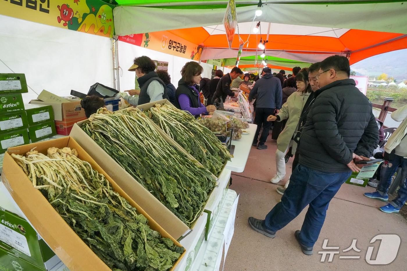 지난해 개최한 청춘양구 펀치볼시래기사과 축제 사진.&#40;양구군 제공. 재판매 및 DB금지&#41;/뉴스1