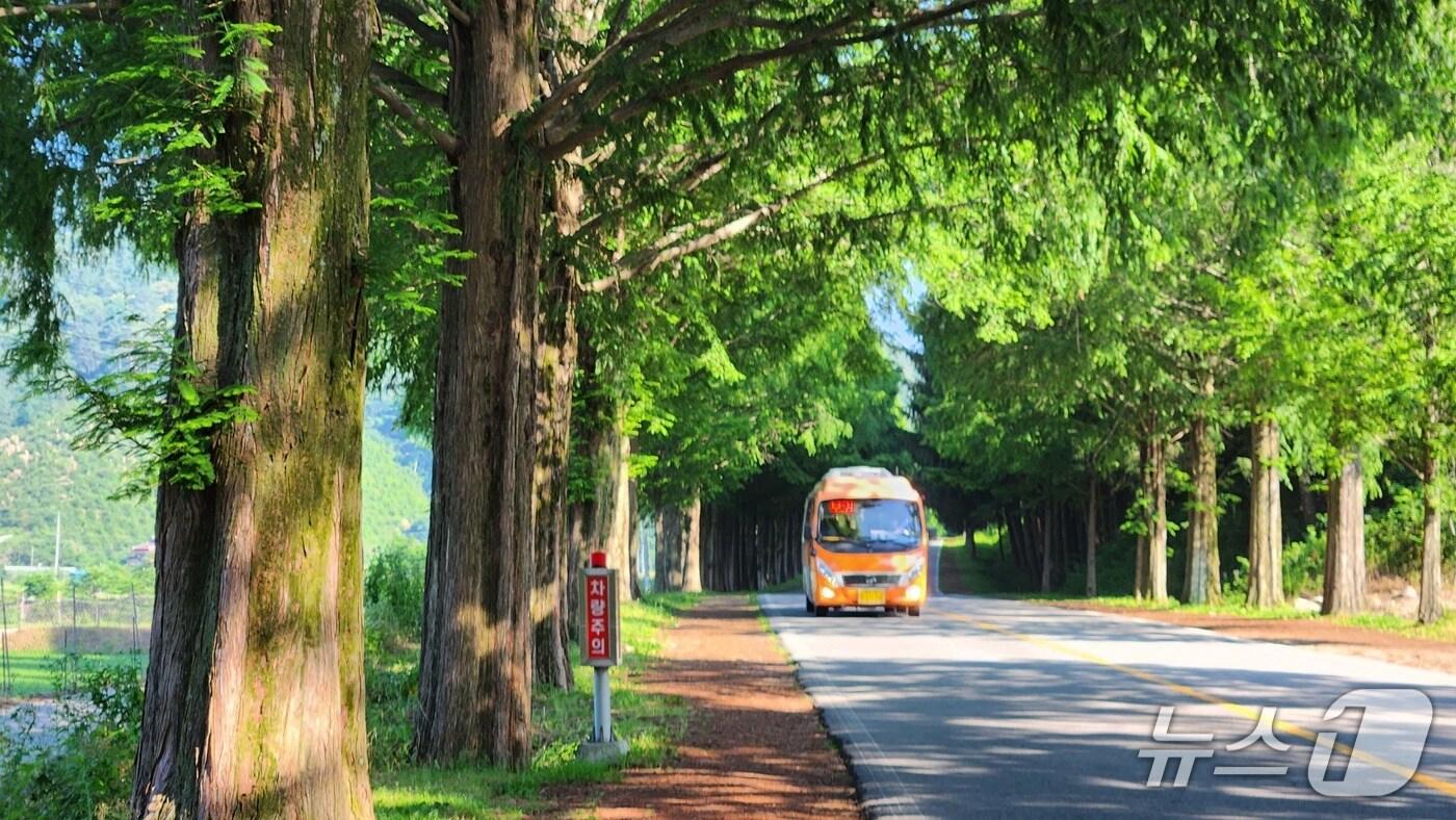 전북 진안군이 오는 11월 1일부터 '농어촌버스 광역(무주)환승'을 실시한다.(진안군제공. 재판매 및 DB금지)2025.10.30/뉴스1