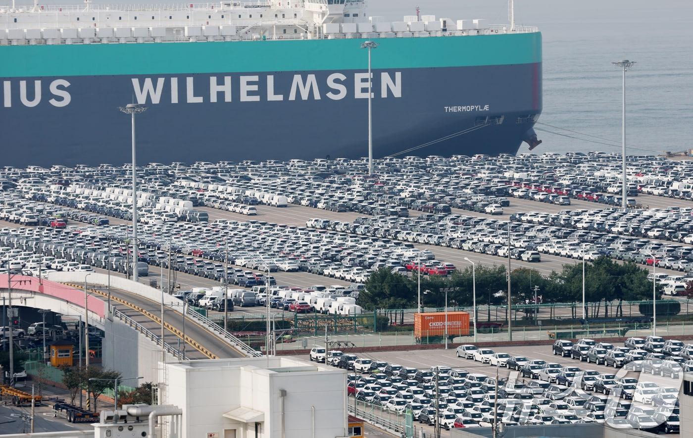 경기 평택시 포승읍 평택항에 수출용 차량이 세워져 있는 모습. 2025.10.30/뉴스1 ⓒ News1 김영운 기자