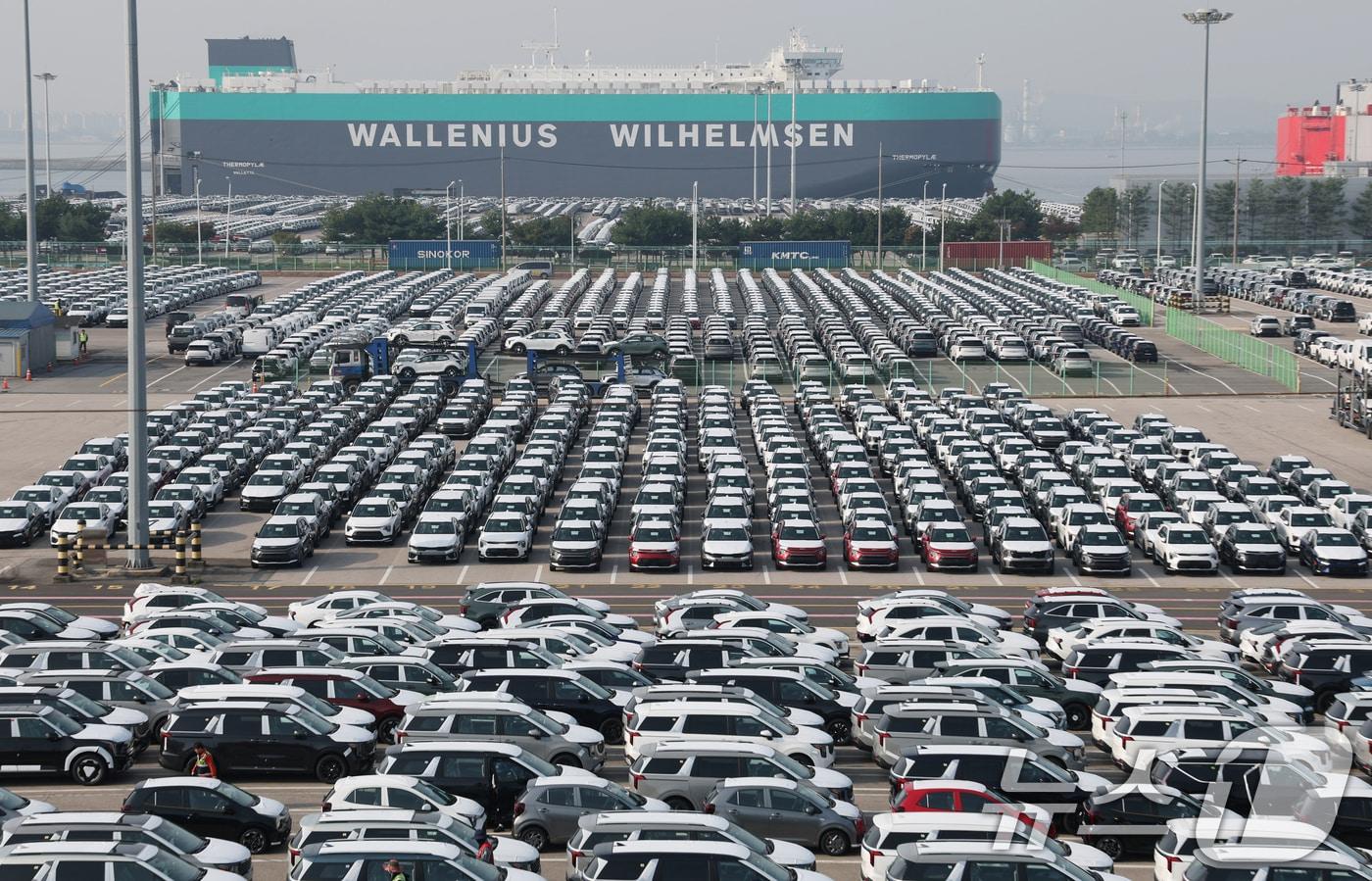 한미 양국이 2차 정상회담을 계기로 관세협상을 타결하면서 한국산 수입차에 대한 미국 관세가 현행 25%에서 일본·유럽연합&#40;EU&#41;와 동등한 수준인 15%로 낮아지게 됐다. 미국이 수입차에 25% 관세를 부과한 4월 3일 이후 7개월 만이며, 한미 관세 협상 후속 협의에 나선 지 92일 만이다. 사진은 30일 경기 평택시 포승읍 평택항에 수출용 차량이 세워져 있는 모습. 2025.10.30/뉴스1 ⓒ News1 김영운 기자